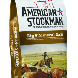 Big 6® Mineral Salt