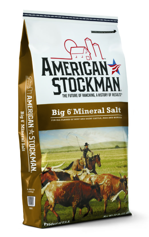 Big 6® Mineral Salt