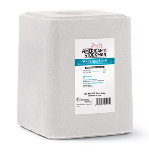White Salt 50 lb Block